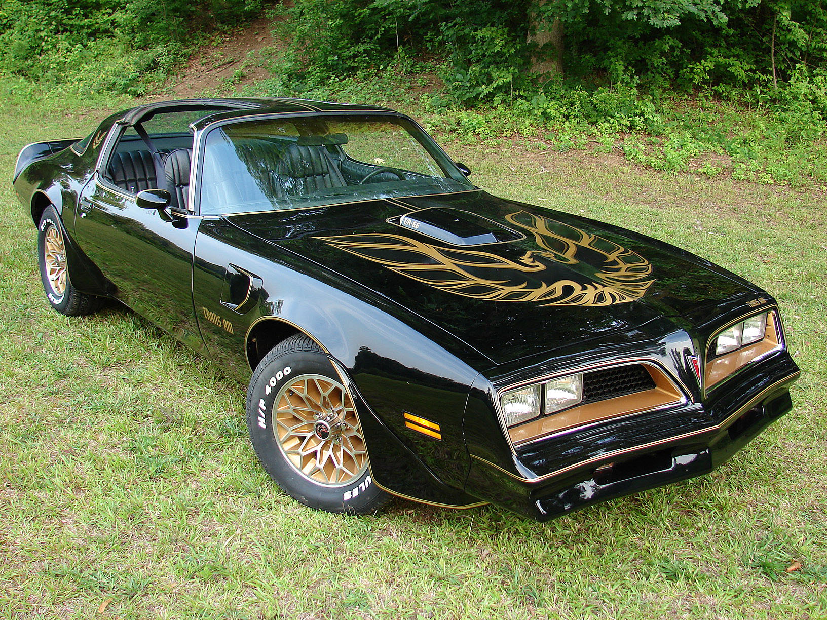 Pontiac Firebird Trans Am 1977-1978